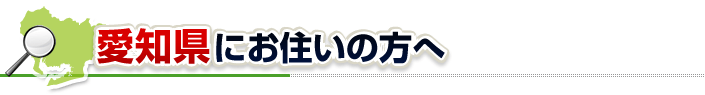 ハチ駆除ネットから愛知県にお住まいの方へ