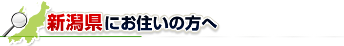 ハチ駆除ネットから新潟県にお住まいの方へ