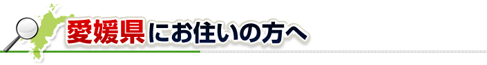 ハチ駆除ネットから愛媛県にお住まいの方へ