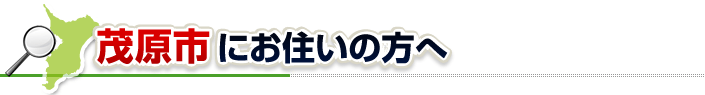 ハチ駆除ネットから茂原市にお住まいの方へ