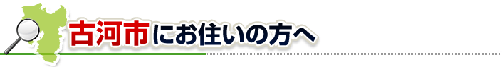 ハチ駆除ネットから古河市にお住まいの方へ