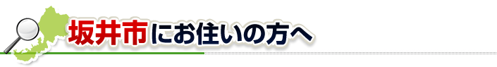 ハチ駆除ネットから坂井市にお住まいの方へ